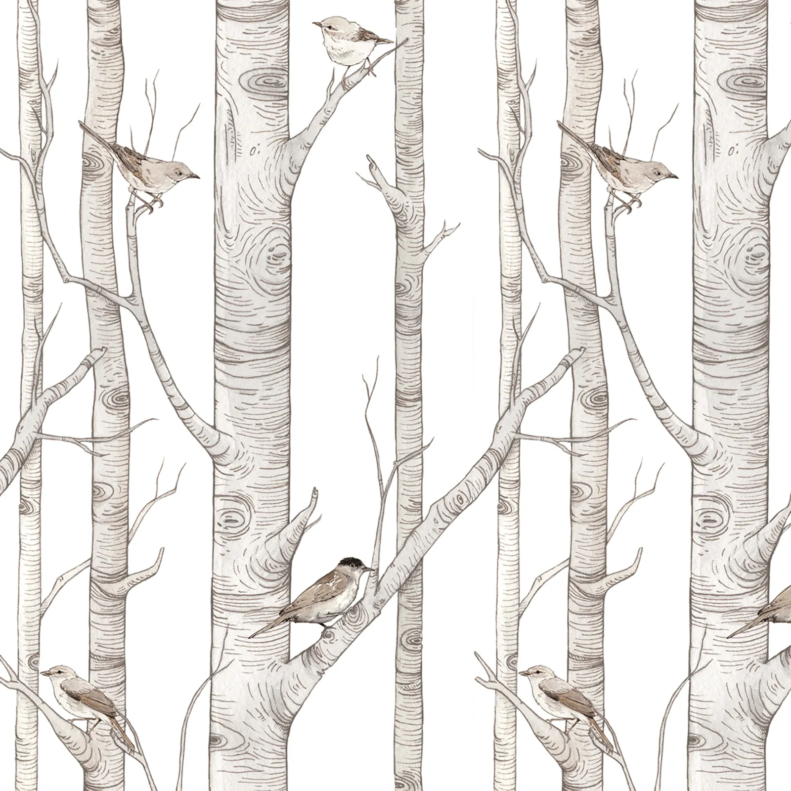 Dekornik Birch Forest Kinderzimmer Tapete