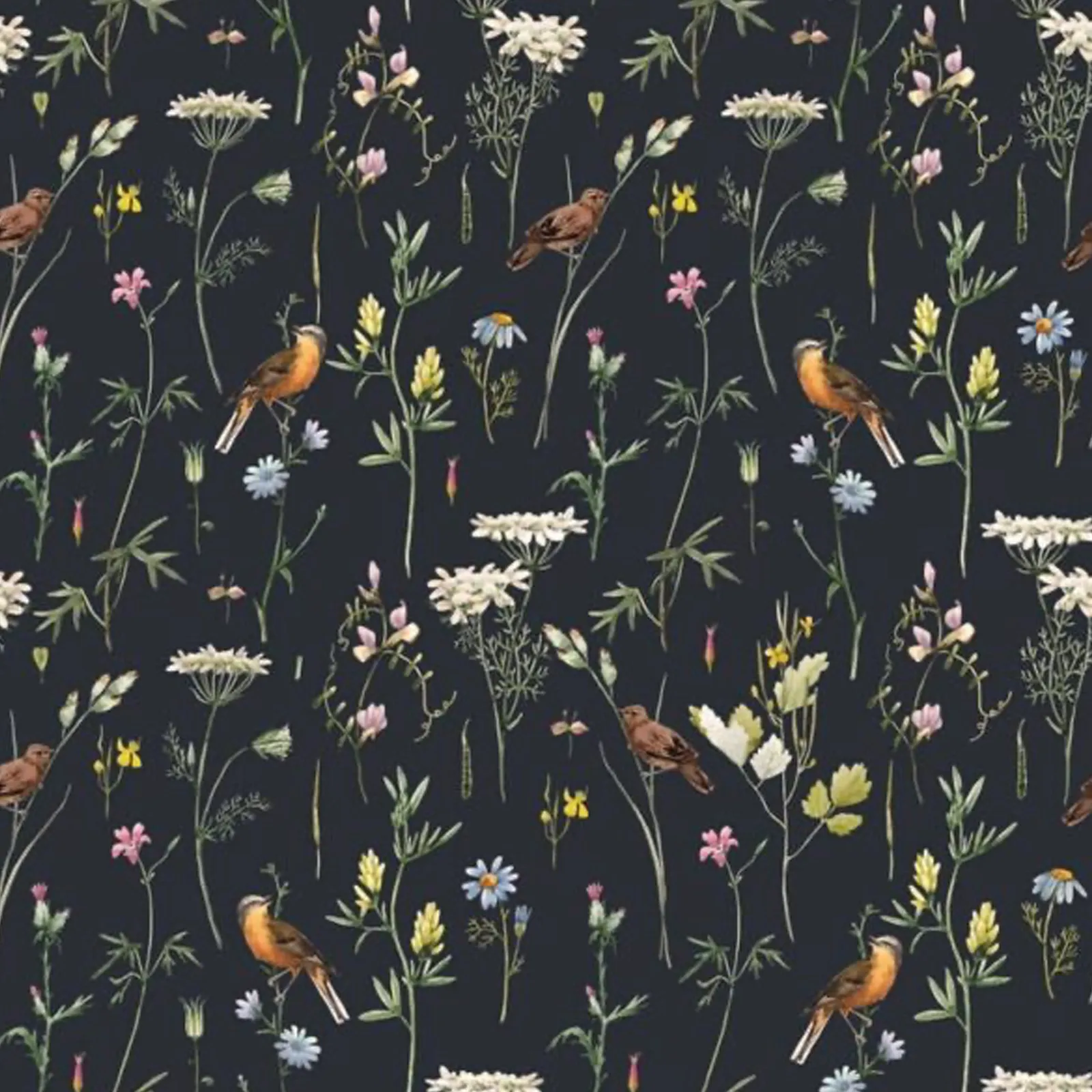 Dekornik Meadow With Birds Black Kinderzimmer Tapete