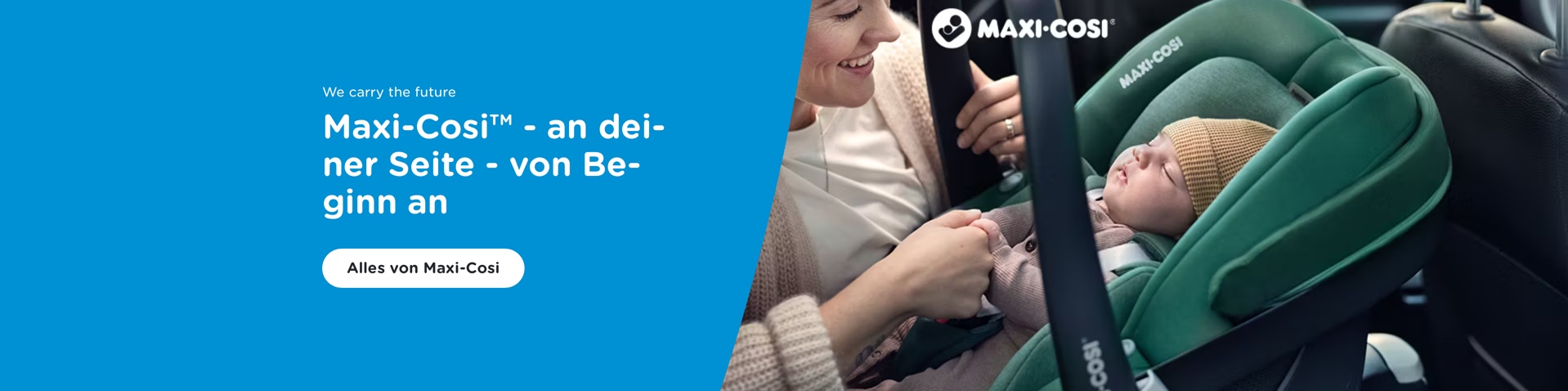 mc-brandstore-example-header